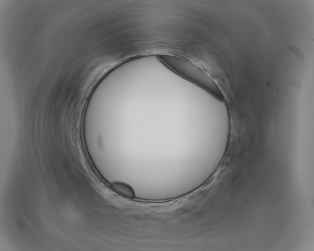 X0000113740001200910141014