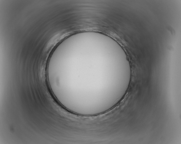 X0000113740002200910141014