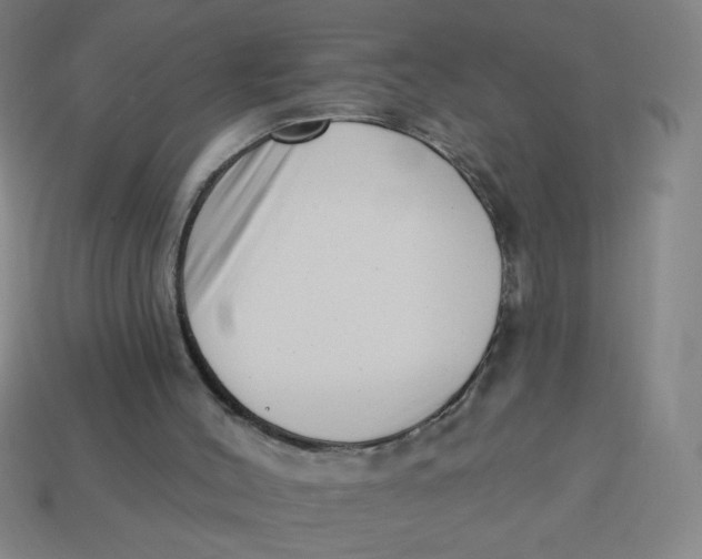 X0000113740004200910141014