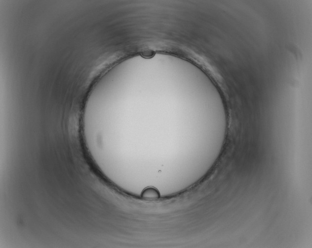 X0000113740010200910141014