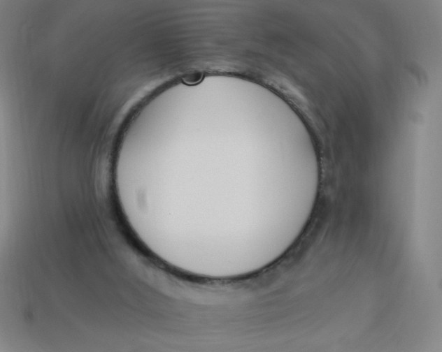 X0000113740012200910141014