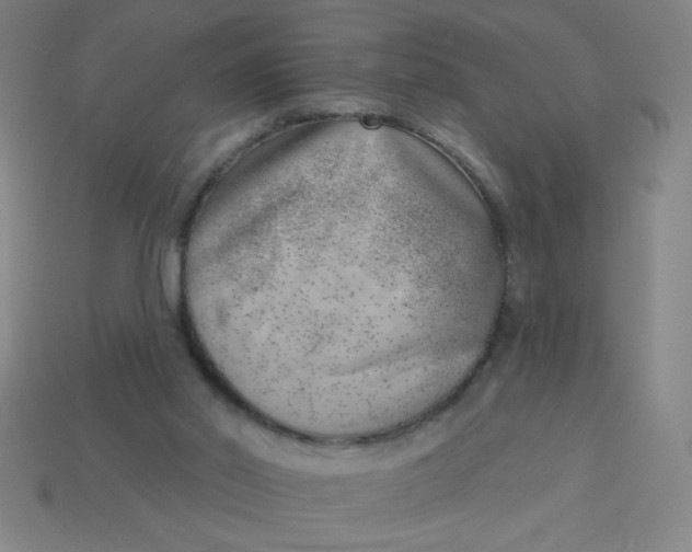 X0000113740014200910141014