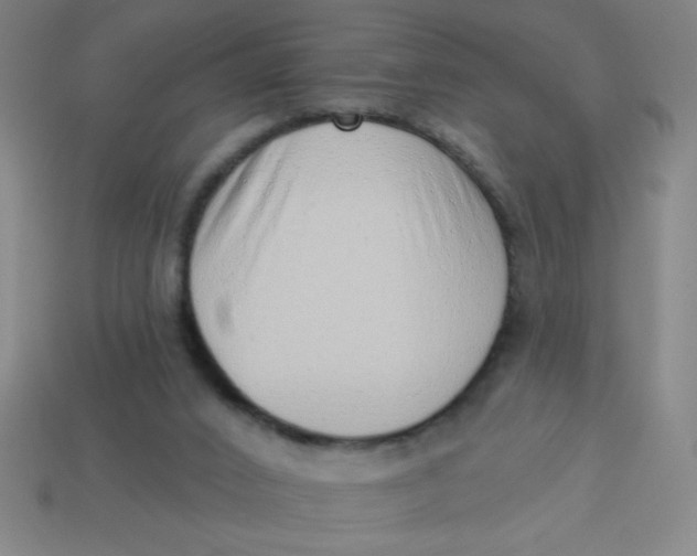 X0000113740016200910141014