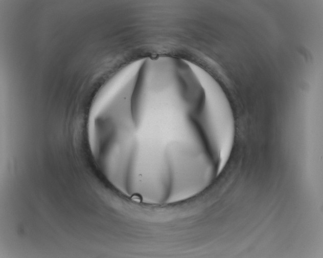 X0000113740018200910141014