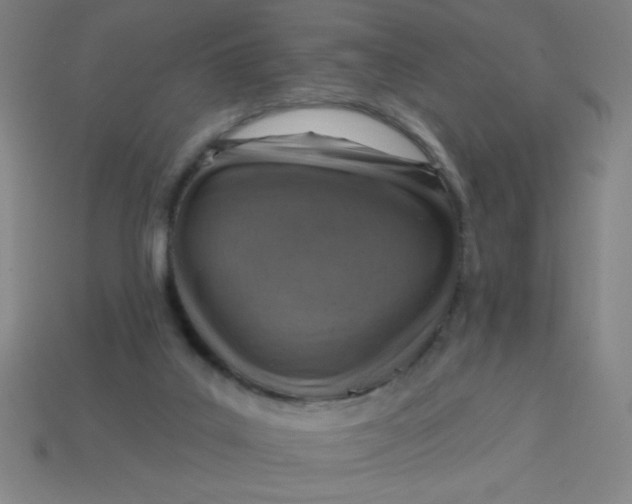 X0000113740019200910141014