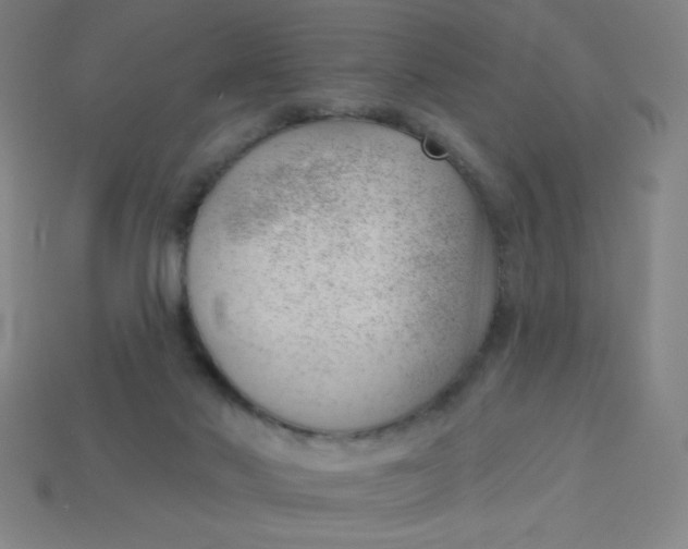 X0000113740022200910141014