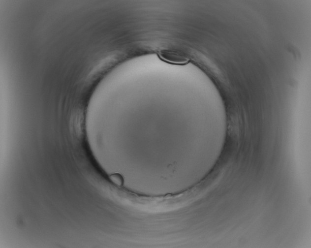 X0000113740023200910141014