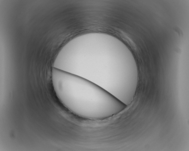 X0000113740025200910141014