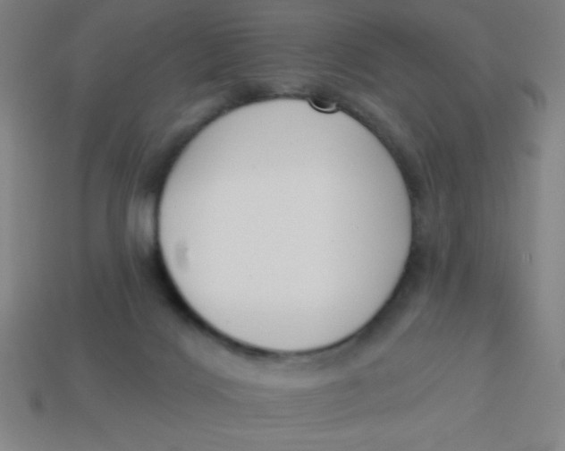 X0000113740028200910141014