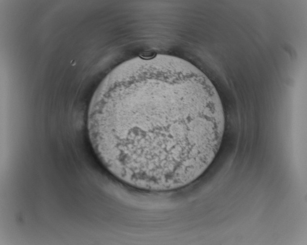 X0000113740032200910141014