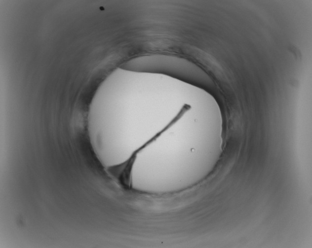 X0000113740033200910141014