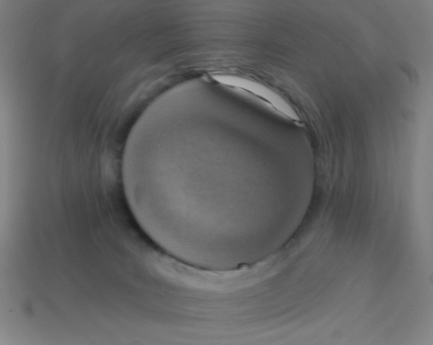 X0000113740035200910141014