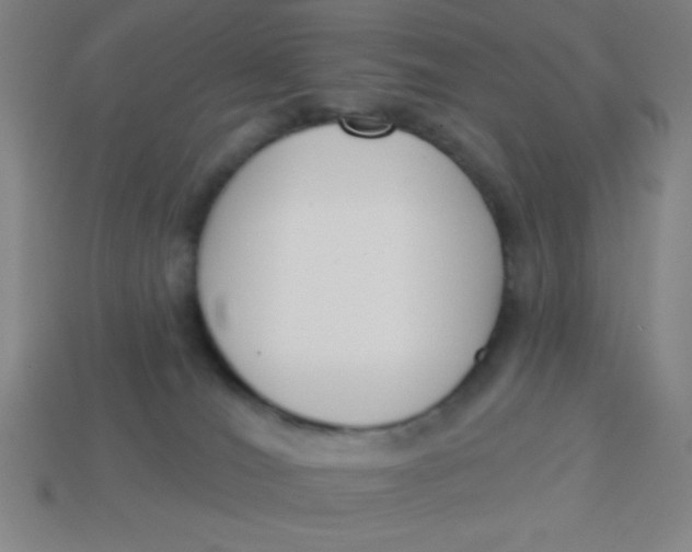 X0000113740036200910141014