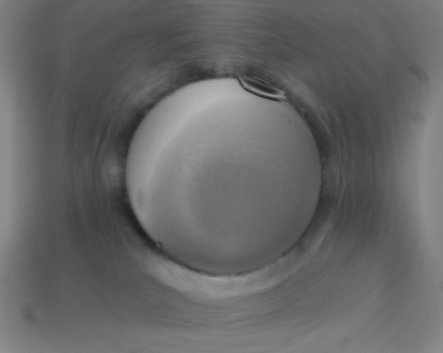 X0000113740039200910141014