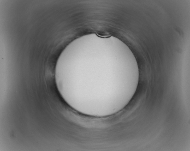 X0000113740040200910141014