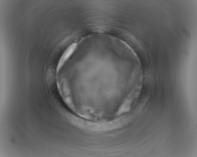 X0000113740043200910141014