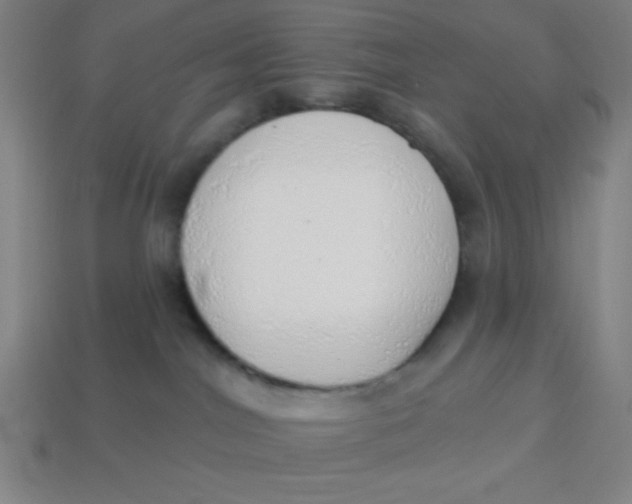 X0000113740044200910141014