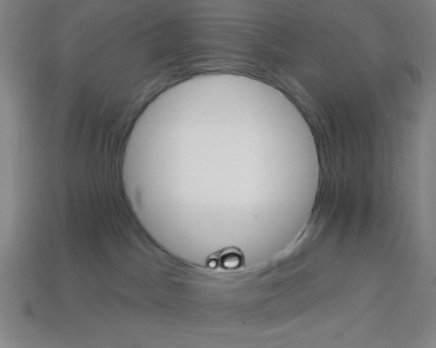 X0000113740045200910141014