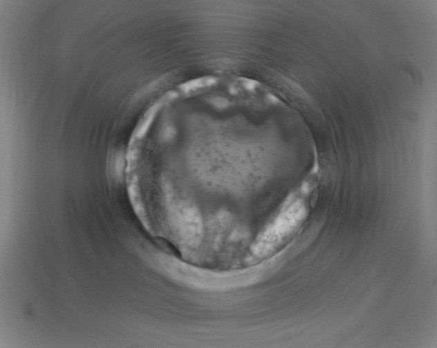 X0000113740047200910141014