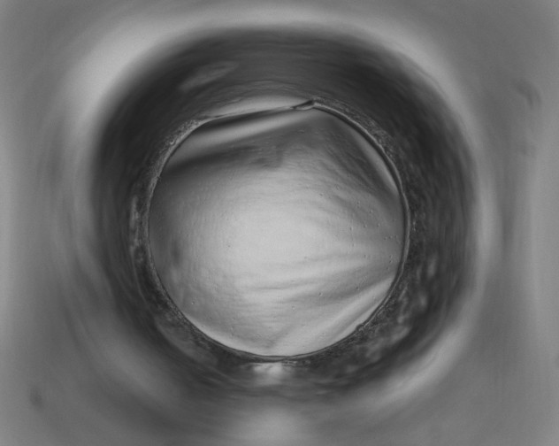 X0000113740050200910141013