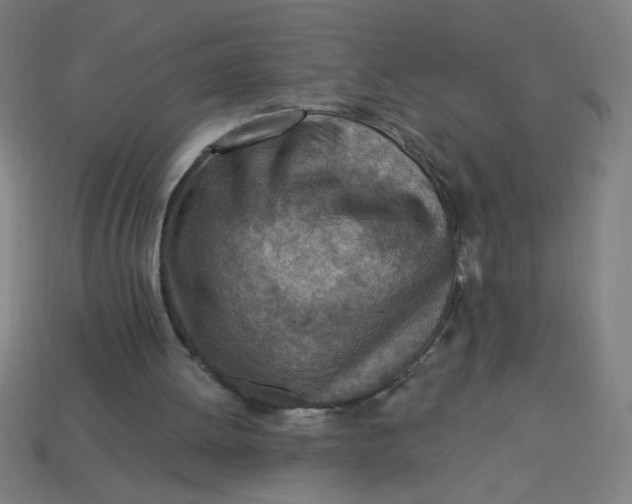 X0000113740052200910141013