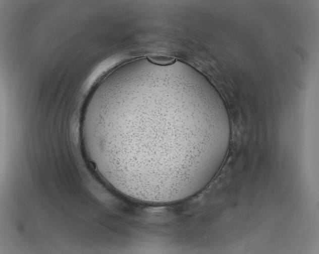 X0000113740054200910141013