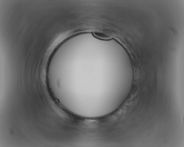 X0000113740055200910141013