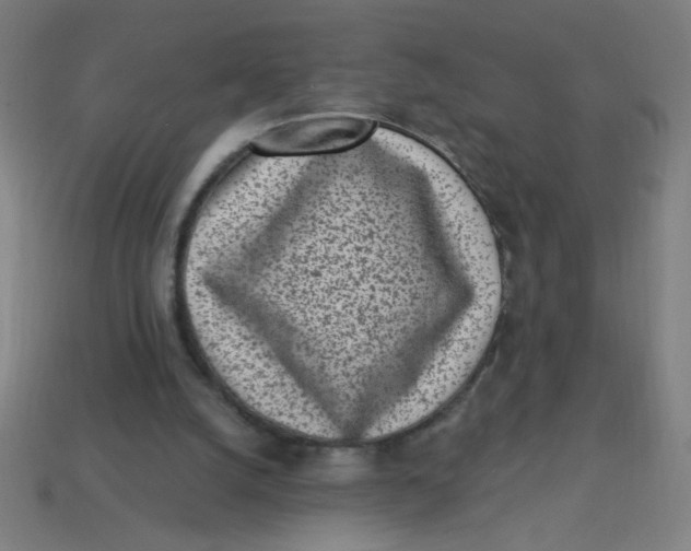 X0000113740056200910141013