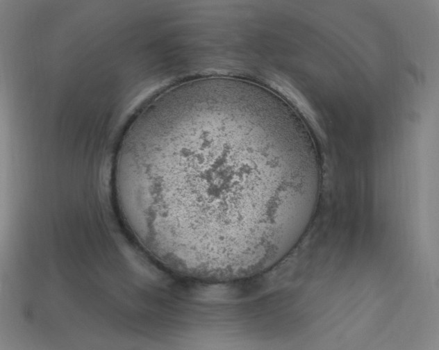 X0000113740058200910141013