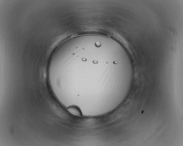 X0000113740059200910141013