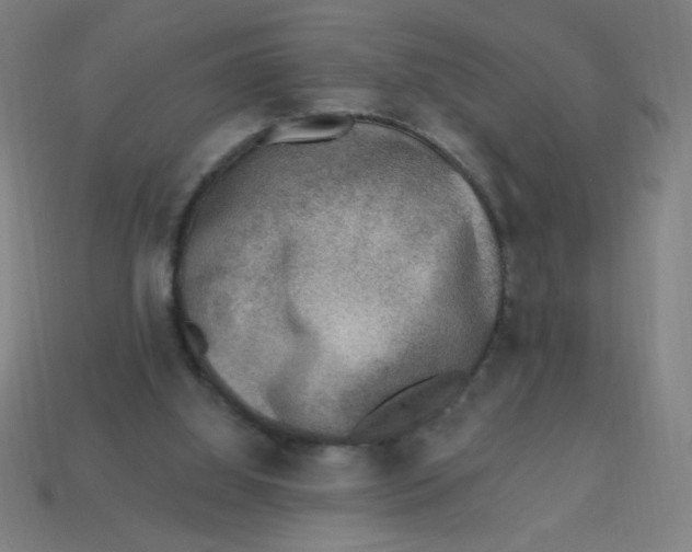 X0000113740060200910141013