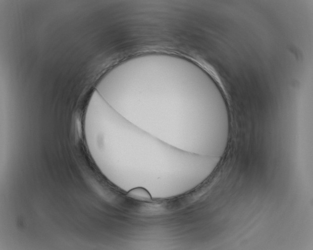 X0000113740061200910141013