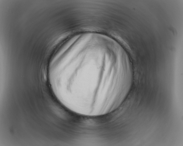 X0000113740062200910141013