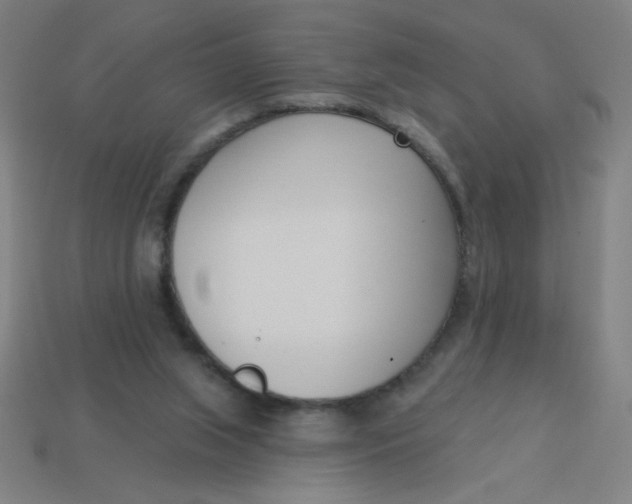 X0000113740063200910141013