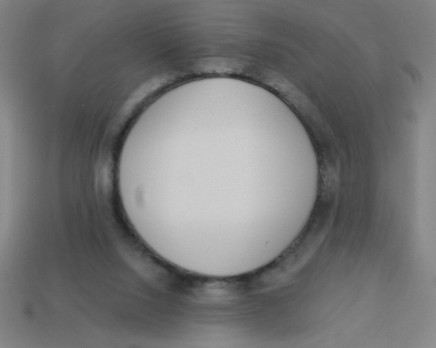 X0000113740064200910141013