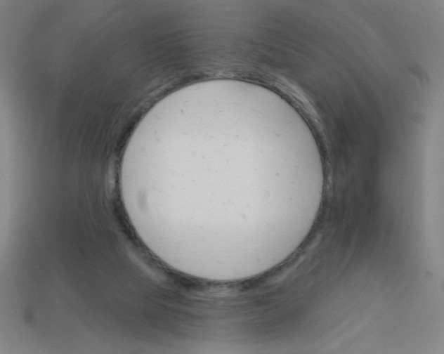 X0000113740065200910141013