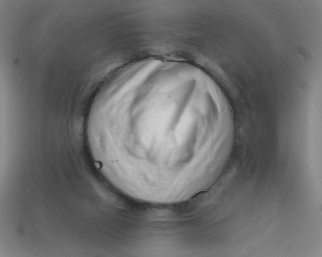 X0000113740066200910141013