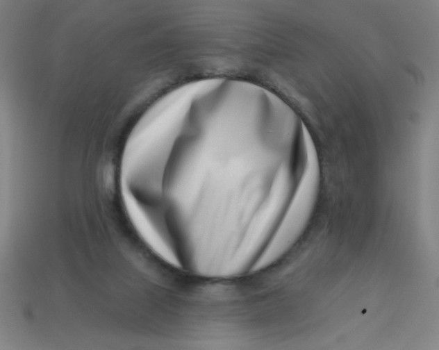 X0000113740067200910141013