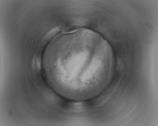 X0000113740068200910141013