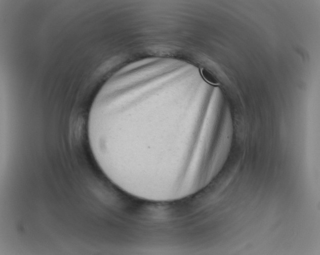 X0000113740071200910141013