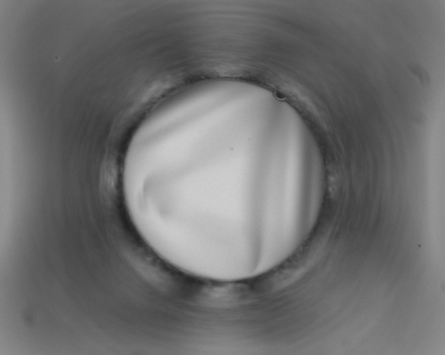 X0000113740072200910141013