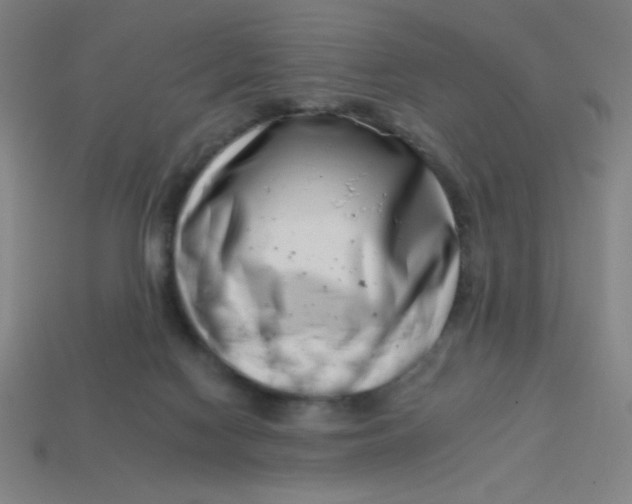 X0000113740074200910141013