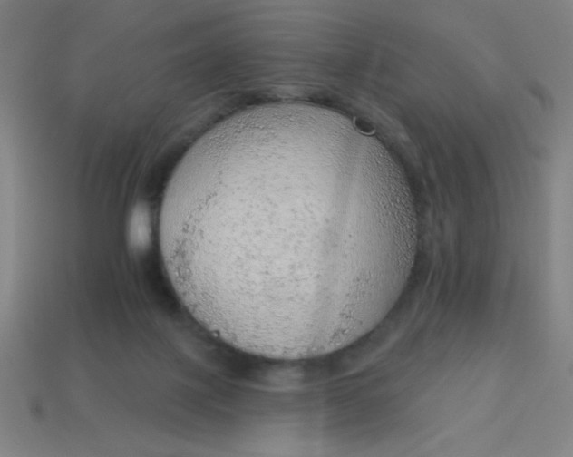 X0000113740075200910141013