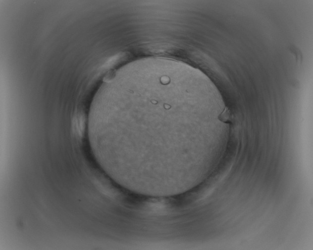 X0000113740076200910141013