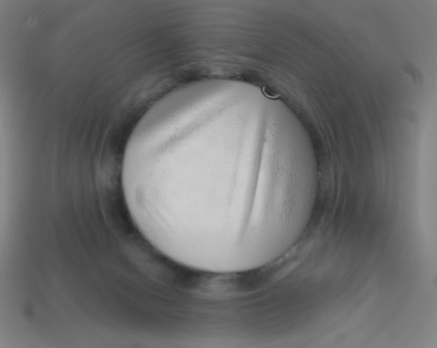 X0000113740078200910141013