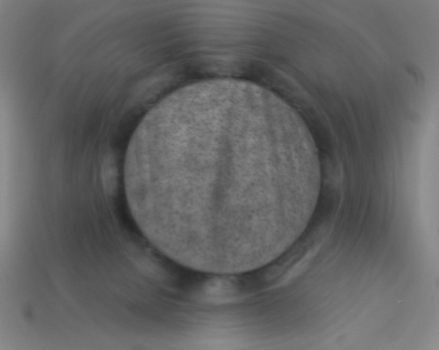 X0000113740080200910141013