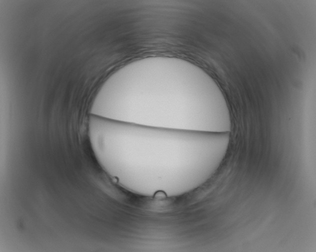 X0000113740081200910141013