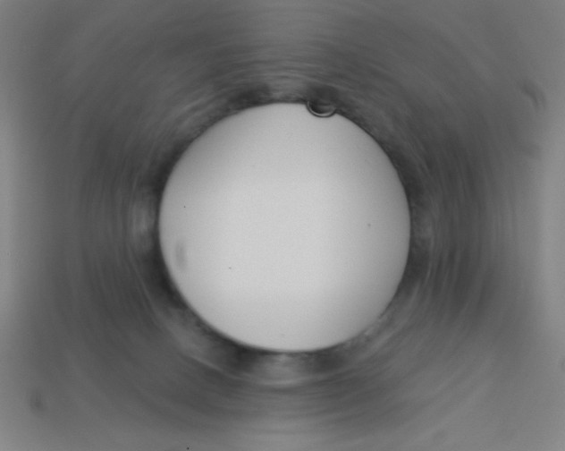 X0000113740082200910141013