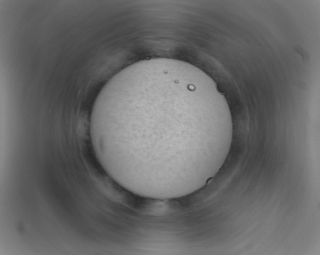 X0000113740083200910141013