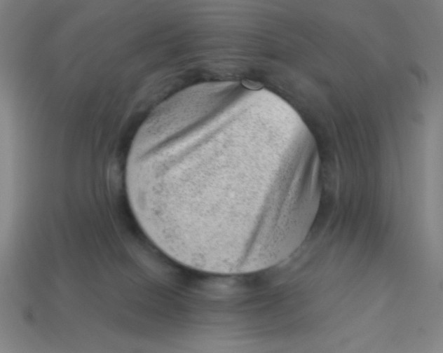 X0000113740086200910141013